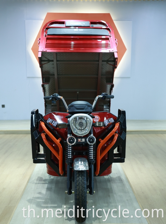 Adult Cargo Electric Tricycle